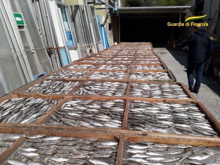 La Finanza sequestra 1.500 kg di prodotti avariati o scaduti: denunciati due commercianti