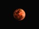 Eclissi lunare: torna il 21 Gennaio Eclissi lunare: torna il 21 Gennaio