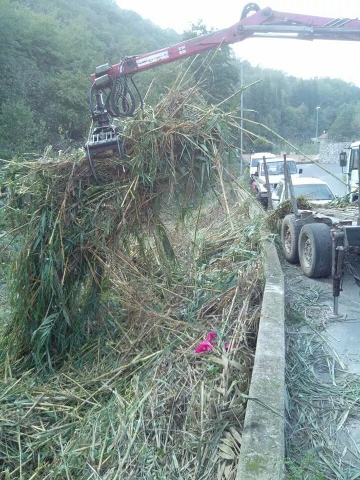 Lavori in corso nel torrente Scarincio nel comune di Giustenice Lavori in corso nel torrente Scarincio nel comune di Giustenice