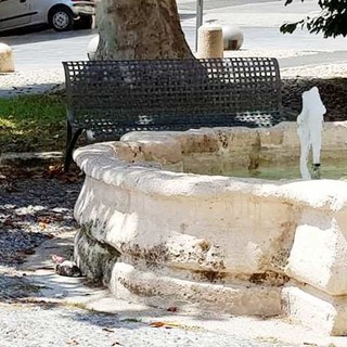 Loano, moria di volatili: accertamenti da parte dell'Enpa Loano, moria di volatili: accertamenti da parte dell'Enpa