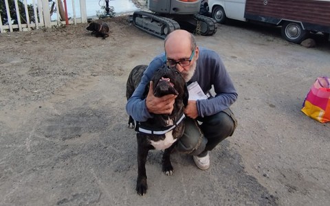 Luigi e i suoi cani trovano una sistemazione: il camper potrà sostare ad Albissola