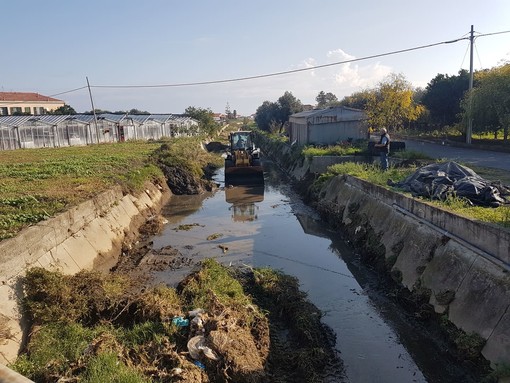 Albenga, al via l’intervento di pulizia del Rio Antognano (FOTO)