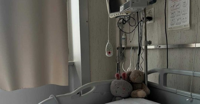Tragico incidente di Ceriale, Emma Brasca lascia l'ospedale: "Andiamo a casa" Tragico incidente di Ceriale, Emma Brasca lascia l'ospedale: "Andiamo a casa"