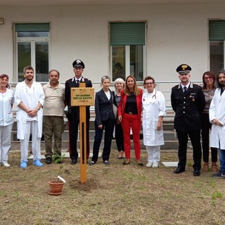 Savona, al San Paolo al via il progetto “Un Albero per la Salute”