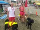 Albissola, non solo i bagnini nelle spiagge libere: a presidiare il litorale ritornano i cani di salvataggio