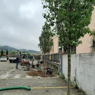 Albissola, partiti i lavori di riqualificazione del verde nel parcheggio di via Pergolesi Albissola, partiti i lavori di riqualificazione del verde nel parcheggio di via Pergolesi