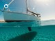 "Let your boat" partecipa ad "Azzurro, pesce d'autore" ad Andora
