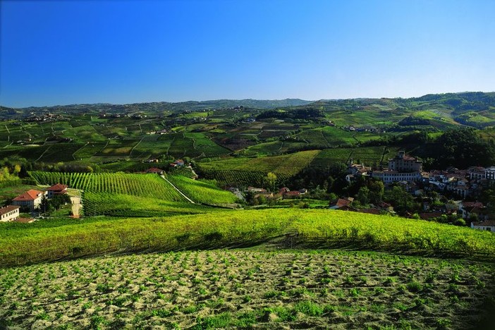 L’Associazione "Amicissia Piemonteisa" presenta la prima edizione del Premio letterario “Cipressa”