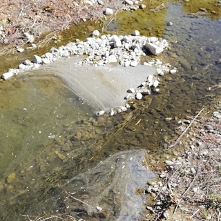 Carcare, sversamento di liquami nel fiume Bormida: il gruppo "Lorenzi Sindaco" attacca la maggioranza Carcare, sversamento di liquami nel fiume Bormida: il gruppo "Lorenzi Sindaco" attacca la maggioranza
