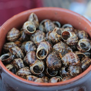Non solo una tradizione: Borgio Verezzi guarda al futuro con le 'Lumache alla Verezzina' Non solo una tradizione: Borgio Verezzi guarda al futuro con le 'Lumache alla Verezzina'