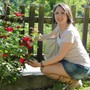 La rosa simbolo del mese di maggio
