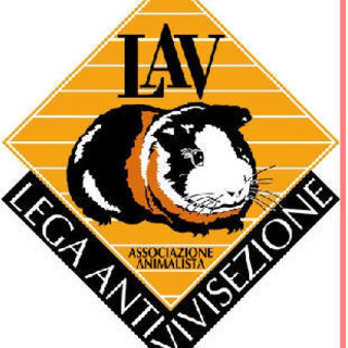 Vivisezione, un male da curare