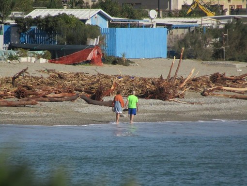 Legname sulle spiagge delle Fornaci e Zinola, Santi (Toti per Savona): "A tre mesi di distanza dall'alluvione, cosa ha fatto l'amministrazione?"