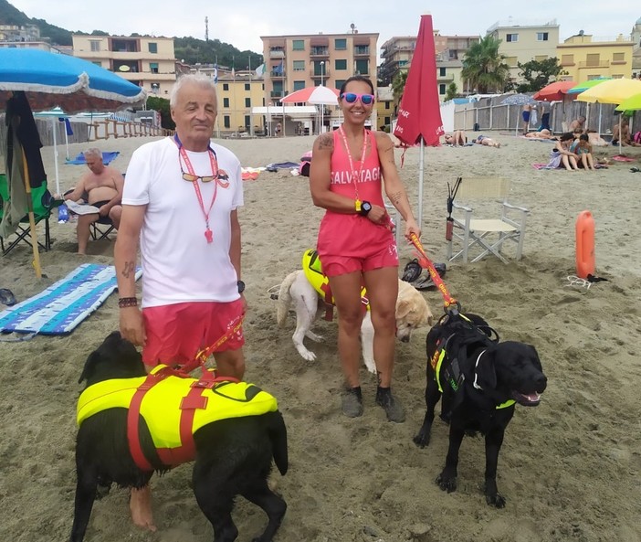 Albissola, non solo i bagnini nelle spiagge libere: a presidiare il litorale ritornano i cani di salvataggio Albissola, non solo i bagnini nelle spiagge libere: a presidiare il litorale ritornano i cani di salvataggio