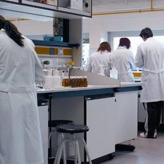 Festività di Ognissanti: il 2 novembre chiusi gli uffici amministrativi di Asl 2