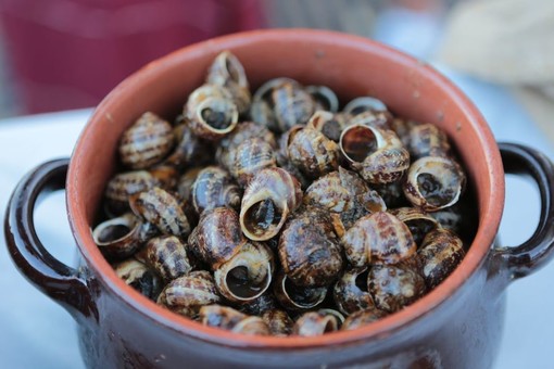 Non solo una tradizione: Borgio Verezzi guarda al futuro con le 'Lumache alla Verezzina' Non solo una tradizione: Borgio Verezzi guarda al futuro con le 'Lumache alla Verezzina'