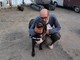 Luigi e i suoi cani trovano una sistemazione: il camper potrà sostare ad Albissola Luigi e i suoi cani trovano una sistemazione: il camper potrà sostare ad Albissola