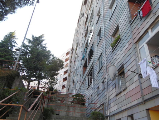 Colonia felina di Legino sotto attacco Colonia felina di Legino sotto attacco