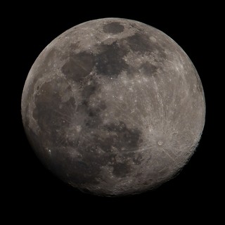 Foto di Enrico Ruggeri
