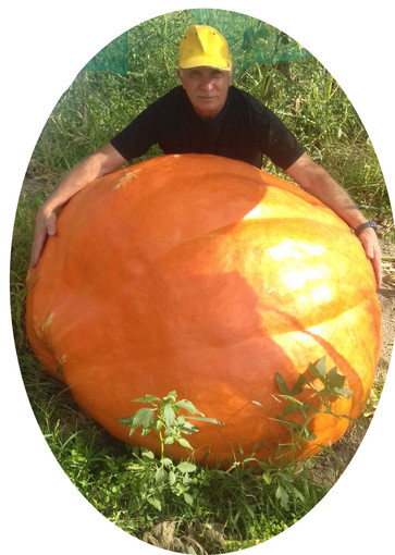 Torna "ZuccaInPiazza" a Rocchetta di Cengio Torna "ZuccaInPiazza" a Rocchetta di Cengio