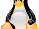 Spotorno: sabato torna la manifestazione dedicata a GNU/Linux
