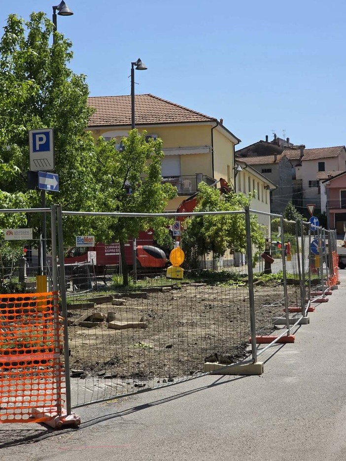Dego, polemica sui social per l’abbattimento di alcuni alberi in piazza Botta Dego, polemica sui social per l’abbattimento di alcuni alberi in piazza Botta