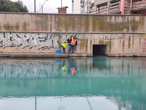 Sversamenti nel Letimbro a Savona, ordinanza del sindaco di interdizione dell'area Sversamenti nel Letimbro a Savona, ordinanza del sindaco di interdizione dell'area