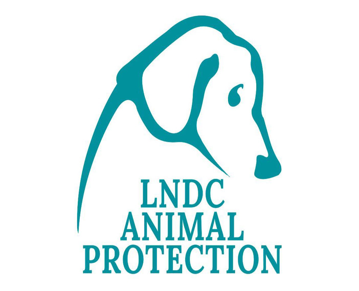 Cani trovati senza vita a Carcare: LNDC Animal Protection presenta denuncia e chiede l’aiuto dei cittadini Cani trovati senza vita a Carcare: LNDC Animal Protection presenta denuncia e chiede l’aiuto dei cittadini