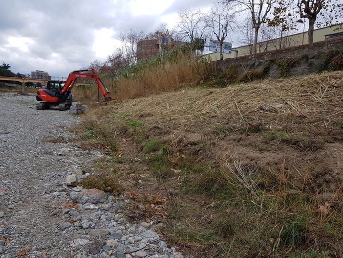 Savona, pulizia del Letimbro. Santi: "Massima attenzione alla fauna presente"