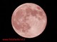 Stasera nei cieli savonesi potremo vedere la luna...rosa