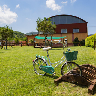 La Filippa, il valore intangibile del brand