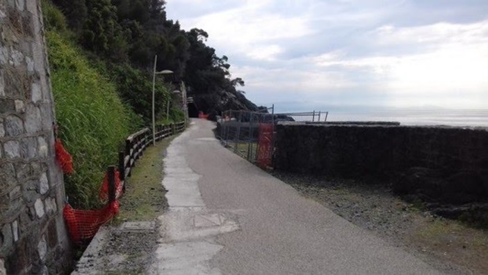 Varazze, sul Lungomare Europa spazio all'installazione di 44 opere: al centro gli animali Varazze, sul Lungomare Europa spazio all'installazione di 44 opere: al centro gli animali