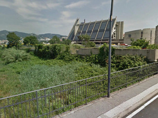 La vegetazione dal lato opposto del ponte