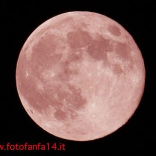 Stasera nei cieli savonesi potremo vedere la luna...rosa