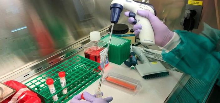 Celle, riparte il Centro Prelievi. E in attesa del CUP, le prenotazioni possono essere effettuate in farmacia