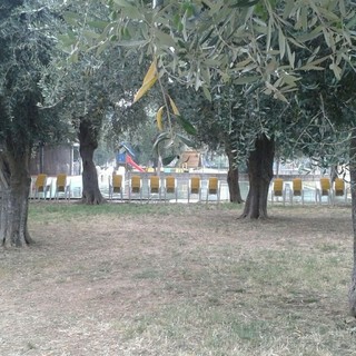 Luceto Summer Fest 2026, tre serate tra gli ulivi: torna la festa della birra artigianale al parco P. Frino