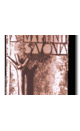 Savona: domani si svolgerà la conferenza stampa per i 50 anni del liceo Arturo Martini Savona: domani si svolgerà la conferenza stampa per i 50 anni del liceo Arturo Martini