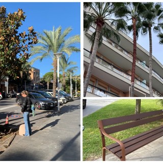 Finale, tempo di manutenzione sul lungomare di Marina: focus sul verde e nuove panchine
