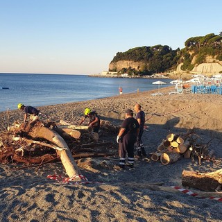 Legname sulle spiagge di Celle, la protezione civile conclude il taglio dei tronchi alla foce del Ghiare Legname sulle spiagge di Celle, la protezione civile conclude il taglio dei tronchi alla foce del Ghiare