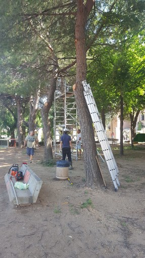 Leca d'Albenga: “Castagne in Pineta”per il progetto Leuca