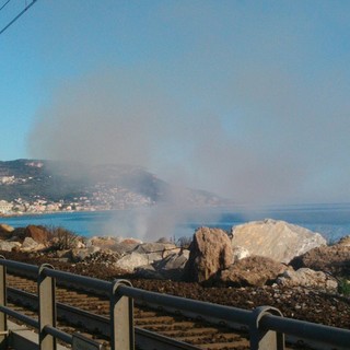 Pietra Ligure, iniziata la pulizia delle spiagge dal legno alluvionale