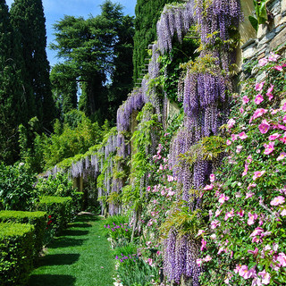 Alassio, riaprono alle visite guidate giornaliere i Giardini di Villa della Pergola