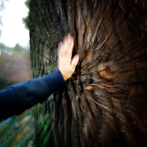 Savona, convegno sul cyberbullismo, l’11% su 800 ragazzi ne è vittima