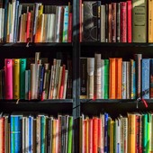 Roccavignale, la nuova biblioteca prende forma: finiti i lavori, al via trasferimento e catalogazione dei libri Roccavignale, la nuova biblioteca prende forma: finiti i lavori, al via trasferimento e catalogazione dei libri