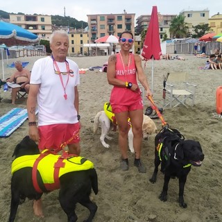 Albissola, non solo i bagnini nelle spiagge libere: a presidiare il litorale ritornano i cani di salvataggio Albissola, non solo i bagnini nelle spiagge libere: a presidiare il litorale ritornano i cani di salvataggio