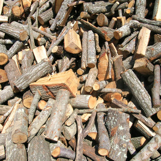 Finale Ligure: 64 enne perde il controllo della motosega, gravissimo al Santa Corona