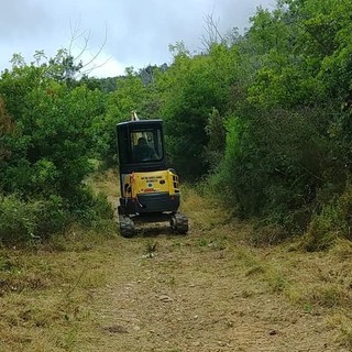 Vado, approvato il progetto di sistemazione delle strade boschive: stanziati 80mila euro