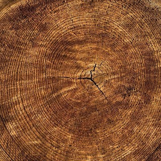 Albenga: possibile ritirare gratuitamente legna