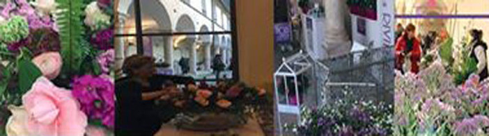 Finale Ligure: nasce da un fiore un nuovo programma contro la violenza