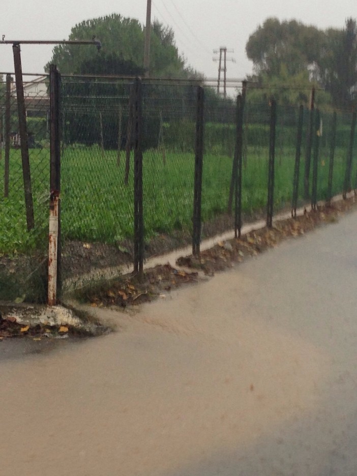 Imu sui terreni: Governo verso il rinvio. Alberto CIA Liguria “Atto di buon senso”